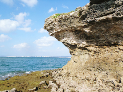 f0338188_1225348.jpg