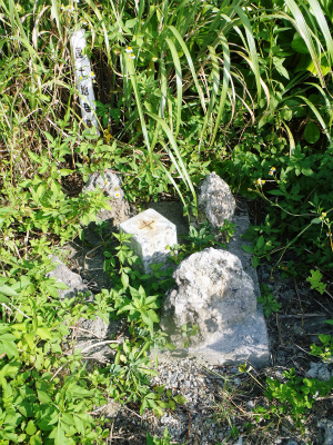 f0338188_12272139.jpg