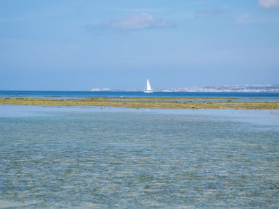f0338188_12284661.jpg