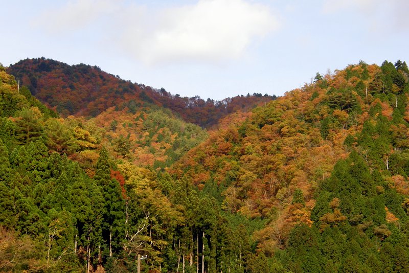 c0057390_0523442.jpg