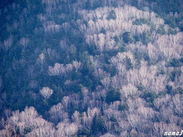 f0224100_07341441.jpg