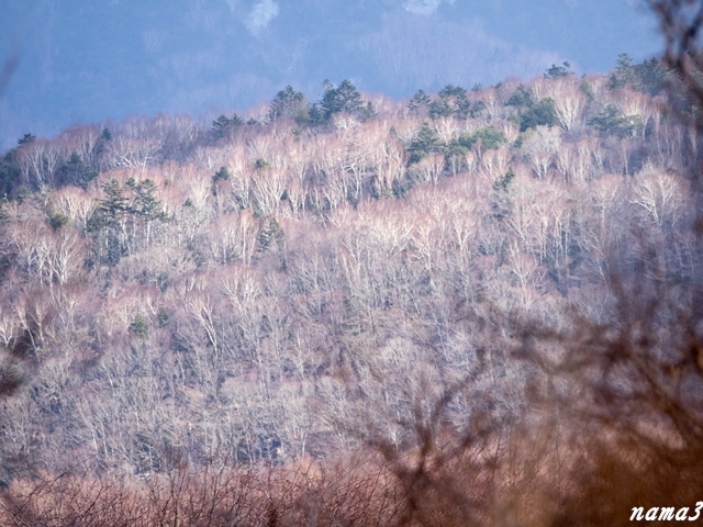 f0224100_07381555.jpg
