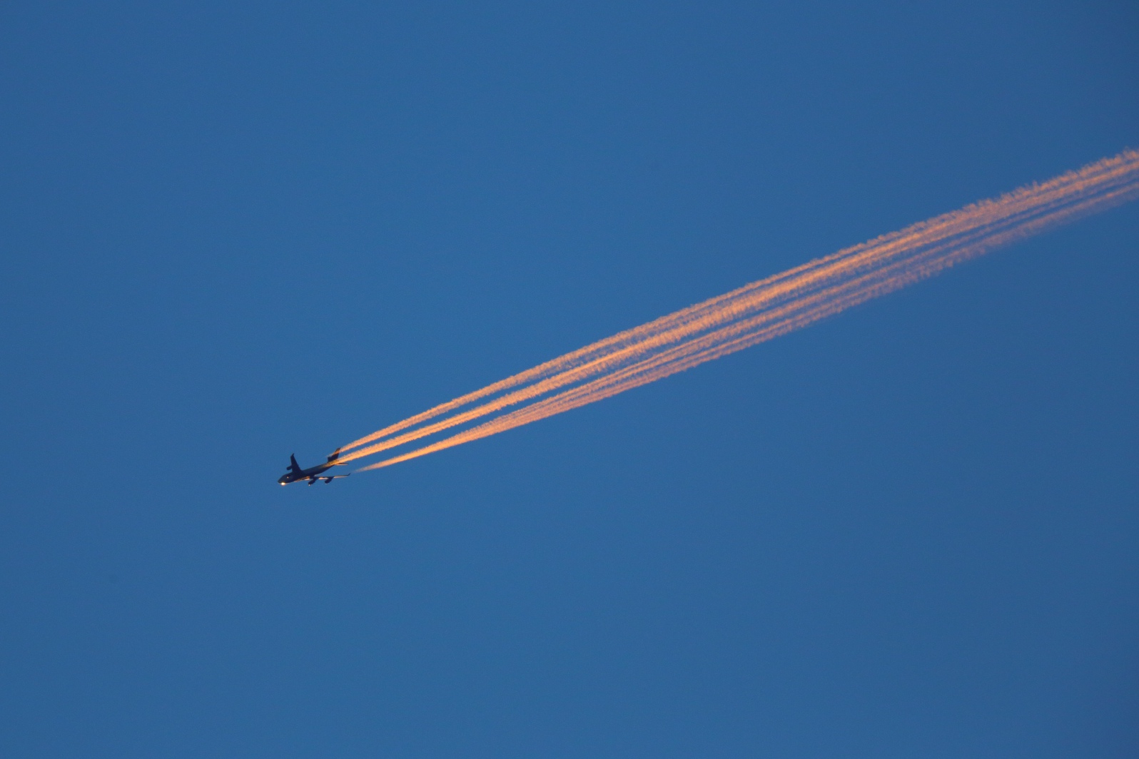 a0155104_18444079.jpg