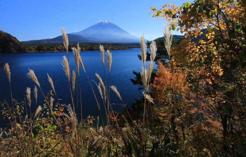 a0188405_14231780.jpg