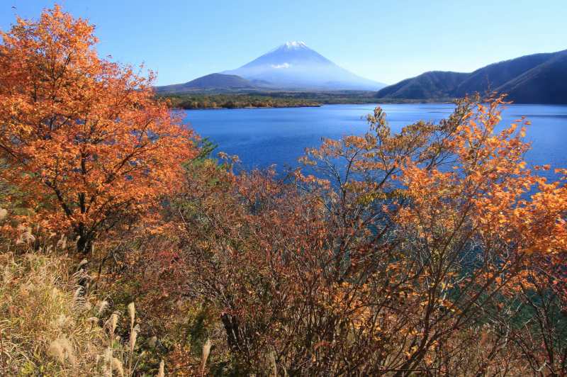 a0188405_14232705.jpg