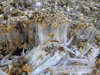 d0032405_22241440.jpg