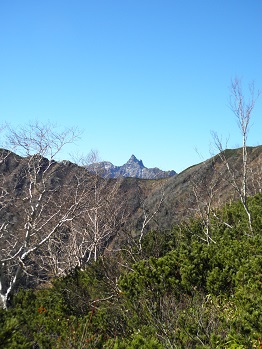 d0032405_2224346.jpg