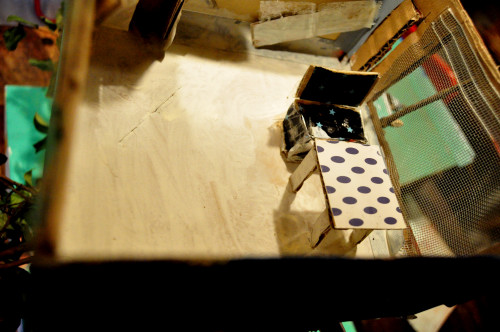 f0188408_1373998.jpg