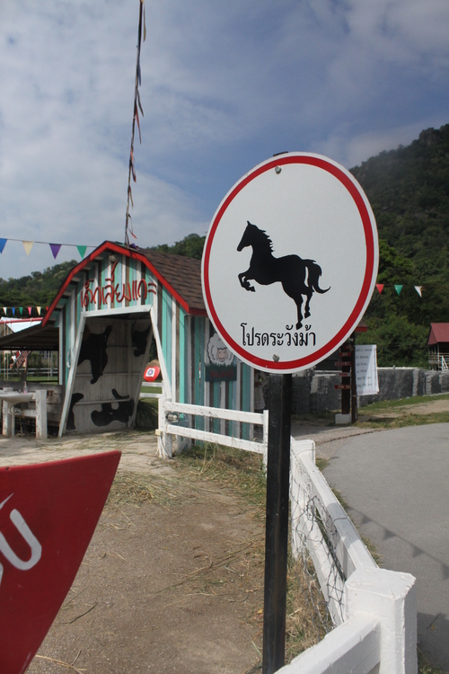 f0233916_1017099.jpg