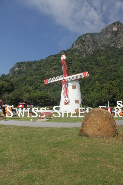 f0233916_1310426.jpg