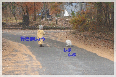 b0167519_2144937.gif