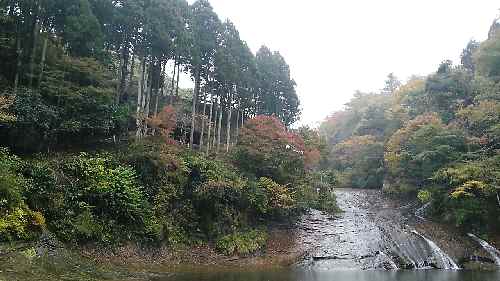 e0047322_22471630.jpg