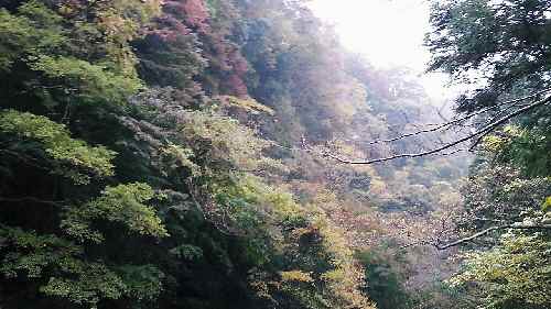 e0047322_22473042.jpg