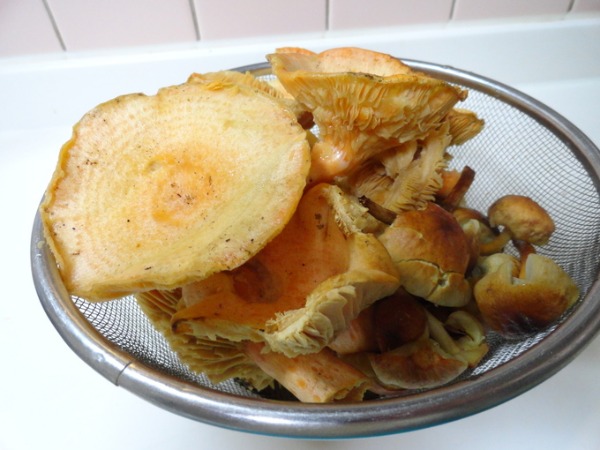 f0238932_175517.jpg