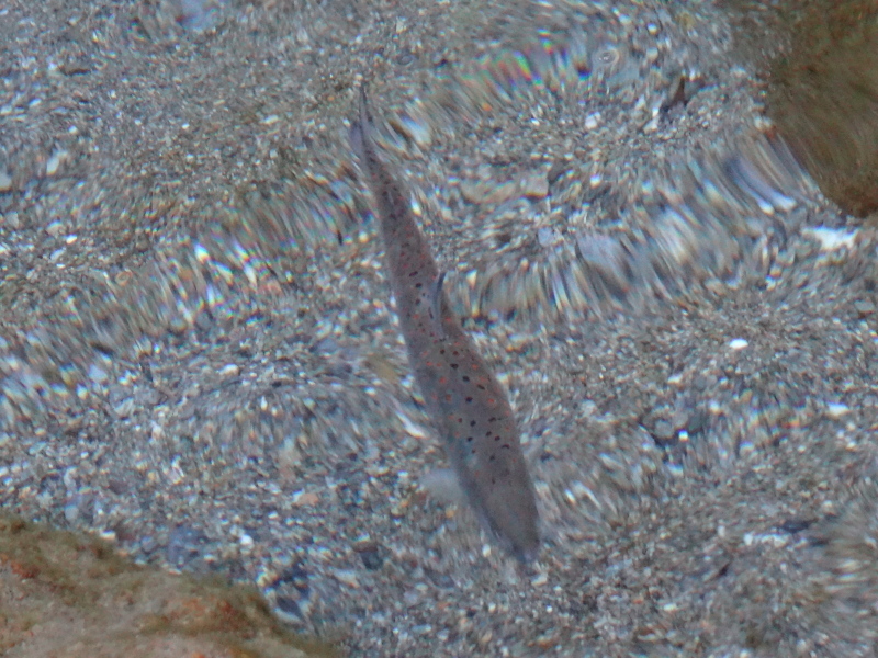 a0156834_23334717.jpg