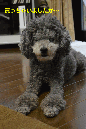 c0136736_18111047.gif