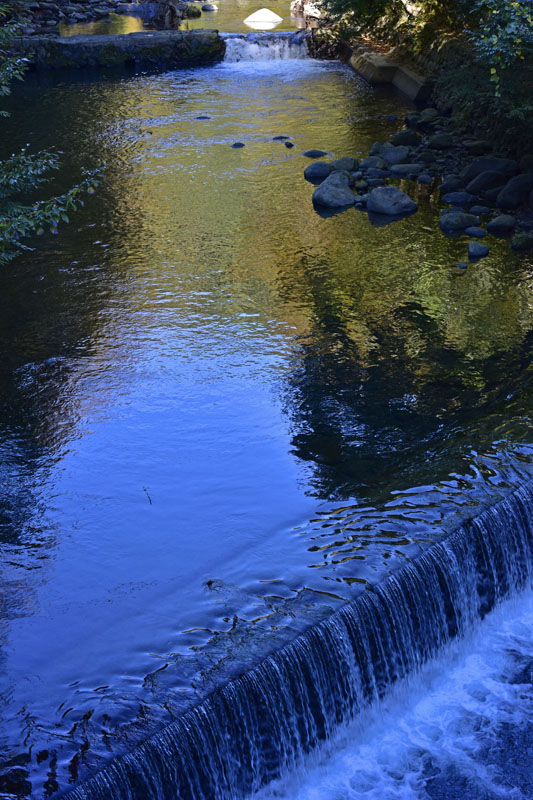 b0042837_20542595.jpg