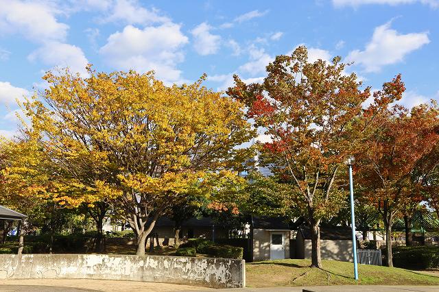 a0242438_18482712.jpg