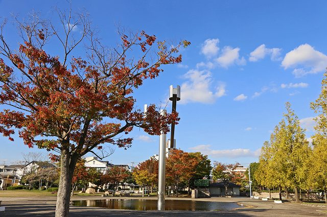 a0242438_1848879.jpg