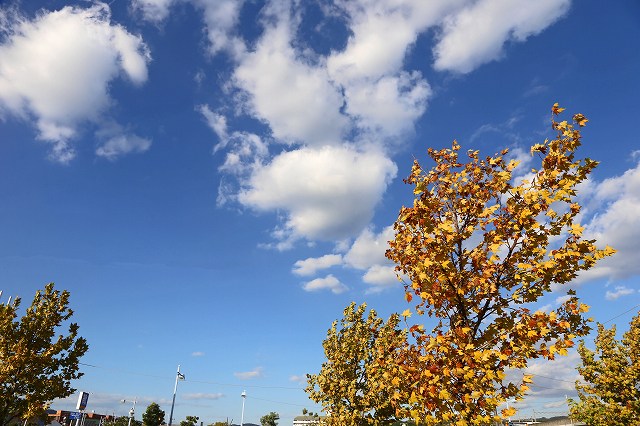 a0242438_18493342.jpg
