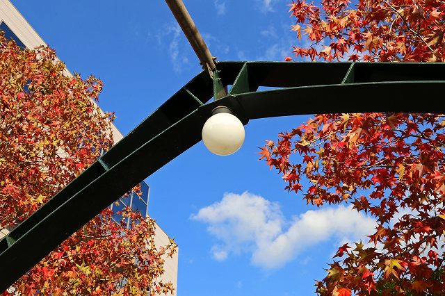 a0242438_1849548.jpg