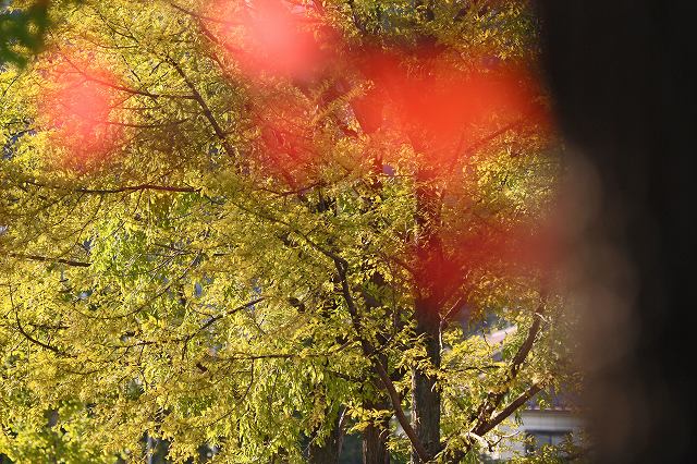 a0242438_18502353.jpg