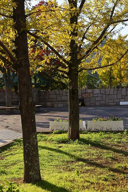 a0242438_18502711.jpg