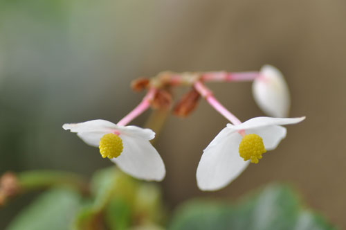 f0302638_1734591.jpg
