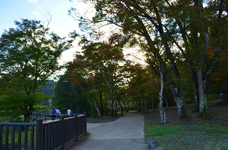b0288942_19344666.jpg