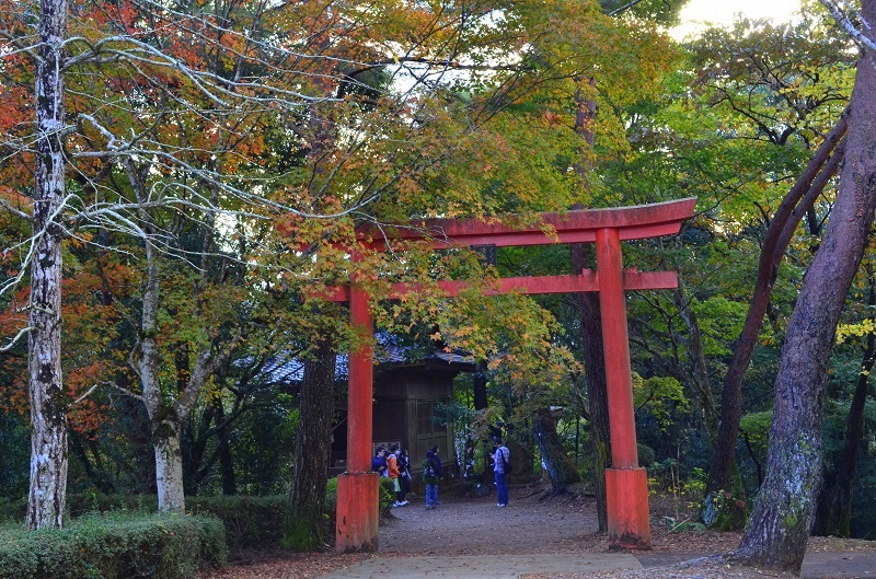 b0288942_1934585.jpg