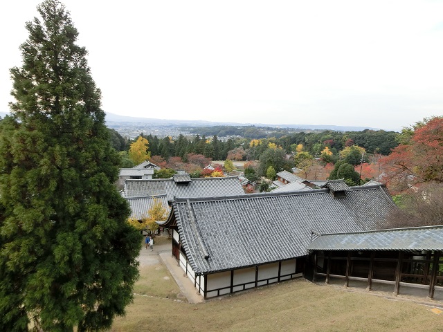 a0237349_1842316.jpg