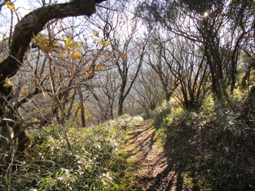 c0179351_21243766.jpg