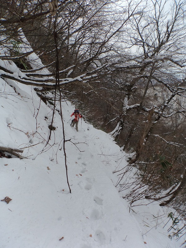 b0234354_20213120.jpg