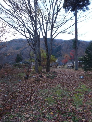 c0166668_922395.jpg