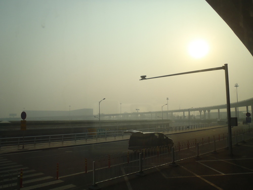b0085469_2324061.jpg