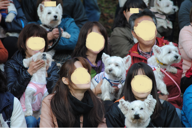 b0242873_23272347.png