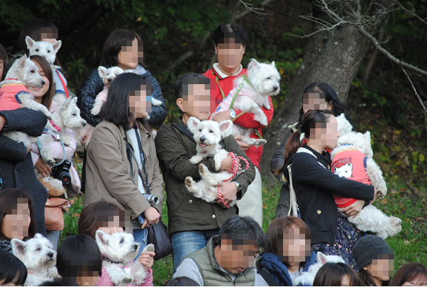 b0242873_23283130.png