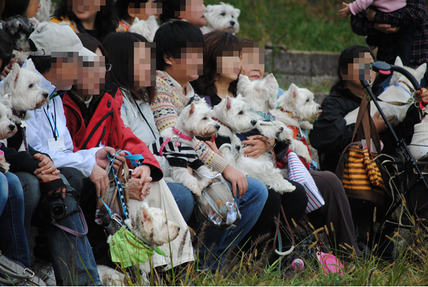 b0242873_23391746.png