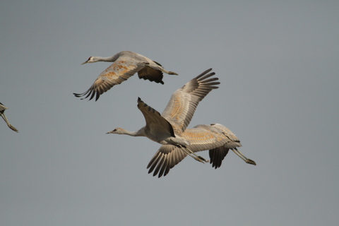 e0197884_2005795.jpg