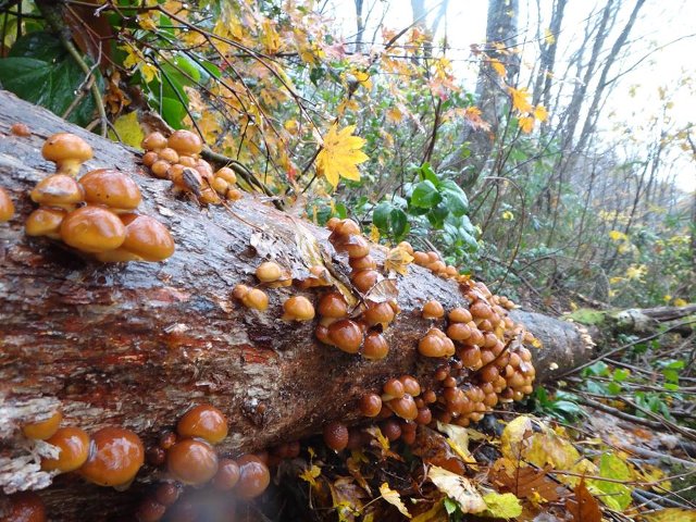 f0125091_17185891.jpg