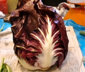 c0151898_17421781.jpg