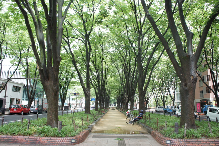 c0199401_16364418.jpg