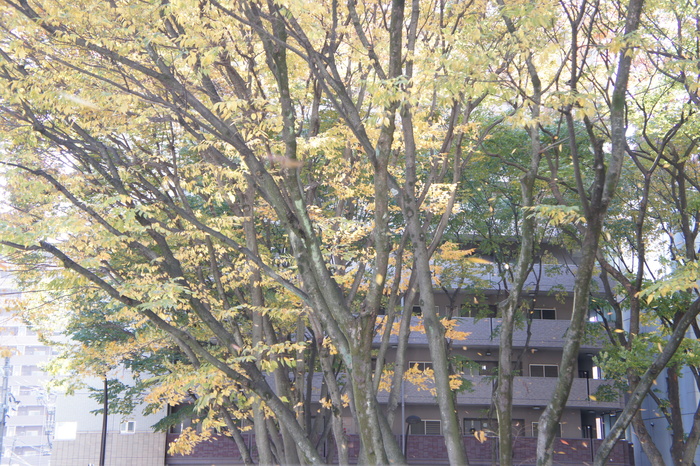 c0199401_17301964.jpg