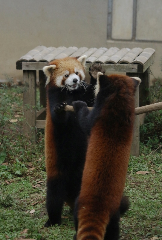 a0306502_22232086.jpg