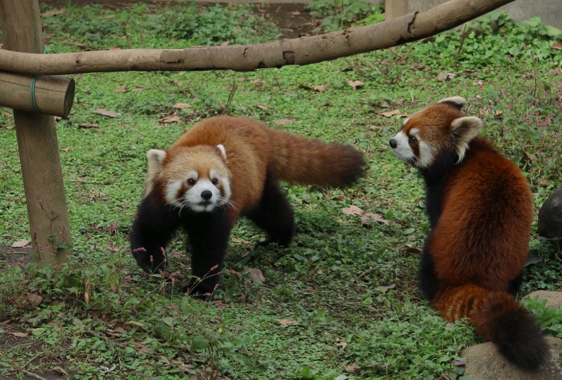 a0306502_22232981.jpg