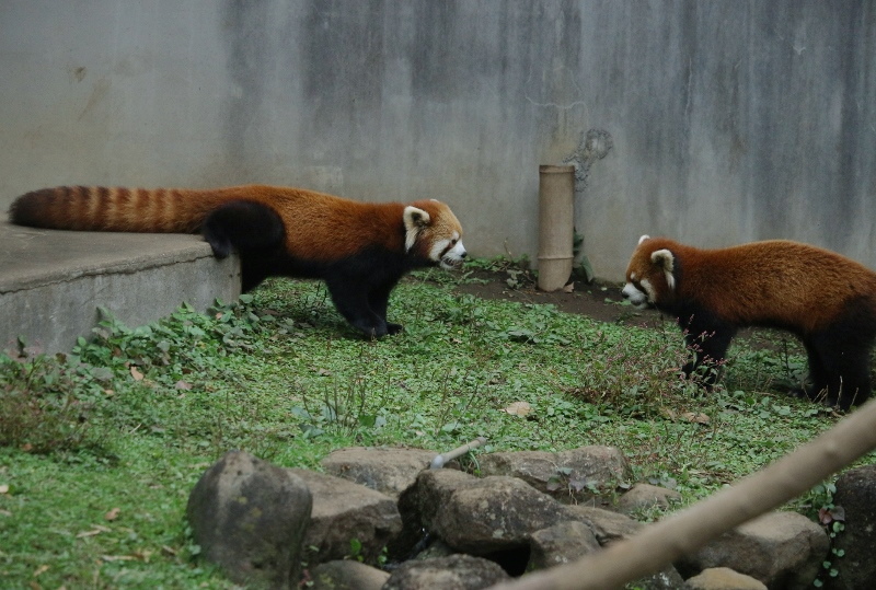 a0306502_22241655.jpg