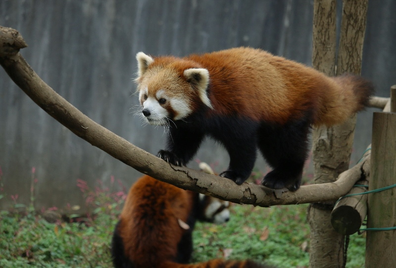 a0306502_22245450.jpg