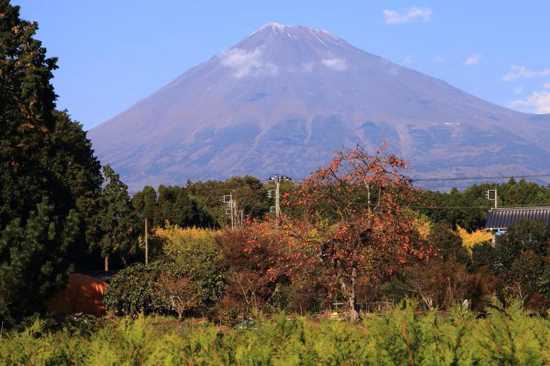 a0188405_21362447.jpg
