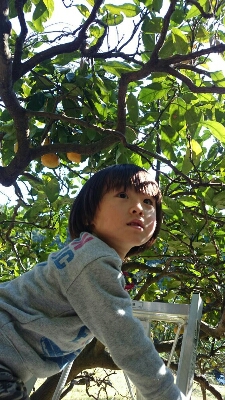 a0216805_10392369.jpg