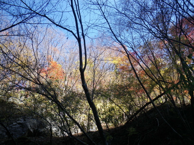 d0006512_17222269.jpg